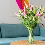 Apartament - Butikowe Koszalin